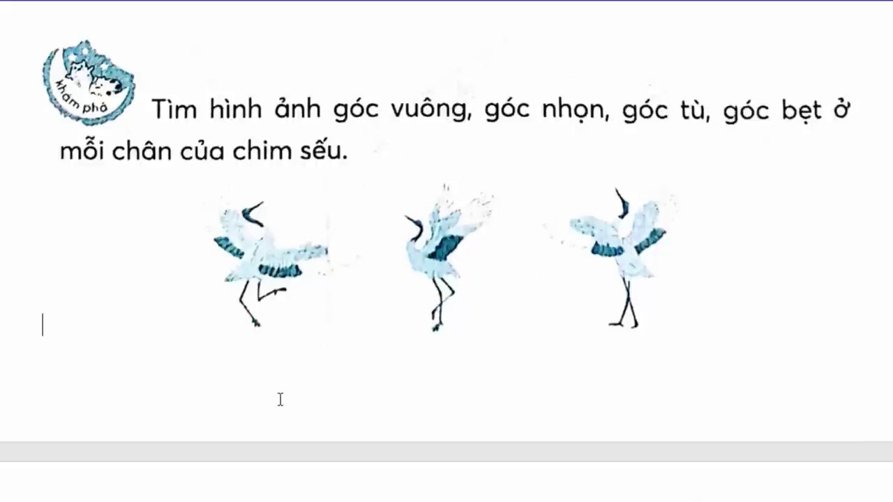 Ví dụ thực tế: Góc tạo bởi hai chân của một chú chim là góc tù.