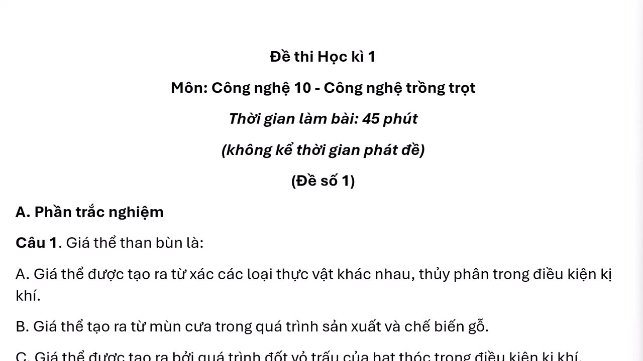 Một góc học tập với sách vở và cây xanh nhỏ xinh.
